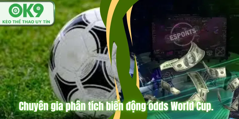 Kinh Nghiệm Soi Kèo World Cup Chuẩn Chuyên Gia Chuyên gia phân tích biến động odds World Cup.