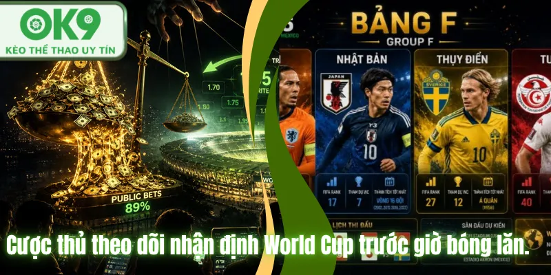 Cược thủ theo dõi nhận định World Cup trước giờ bóng lăn.