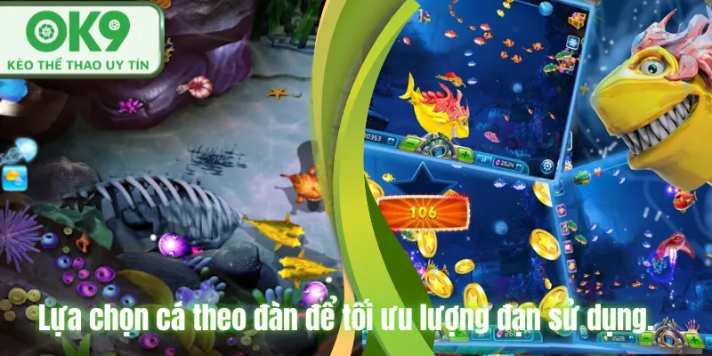 Lựa chọn cá theo đàn để tối ưu lượng đạn sử dụng.