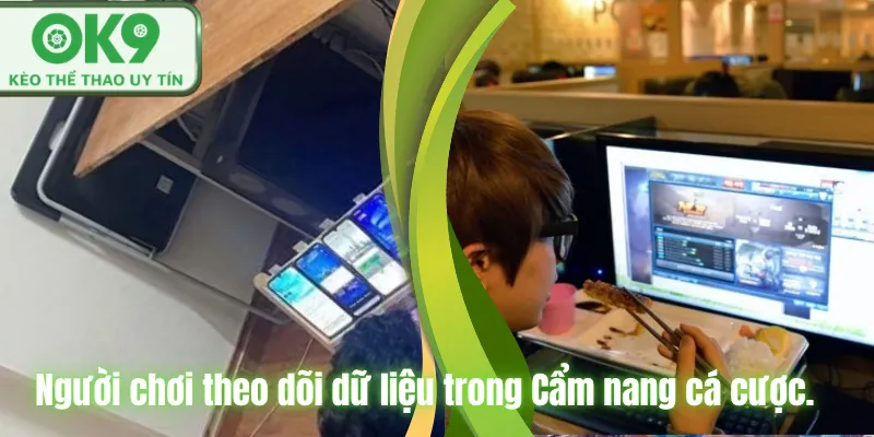 Người chơi theo dõi dữ liệu trong Cẩm nang cá cược.