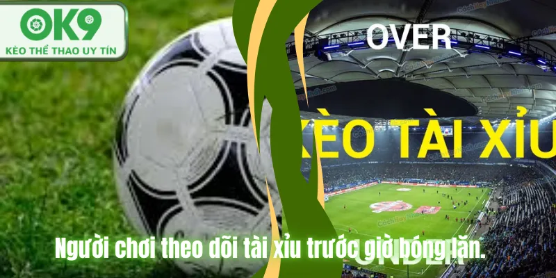 Kinh Nghiệm Soi Kèo World Cup Chuẩn Chuyên Gia Người chơi theo dõi tài xỉu trước giờ bóng lăn.