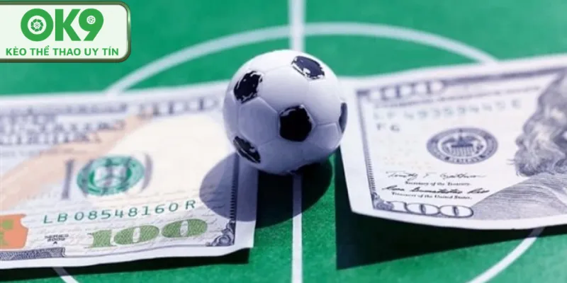 Cách Cá Cược World Cup Hiệu Quả Dành Cho Người Mới cách cá cược worldcup hiệu quả ok9