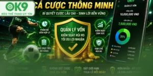 quản lý vốn các cược ok9